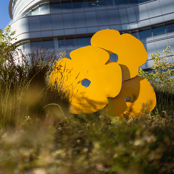 All Support Groupscard image